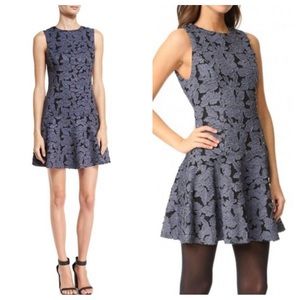 ALICE + OLIVIA Fonda Black & Blue Textured Floral-Lace Drop-Waist Dress